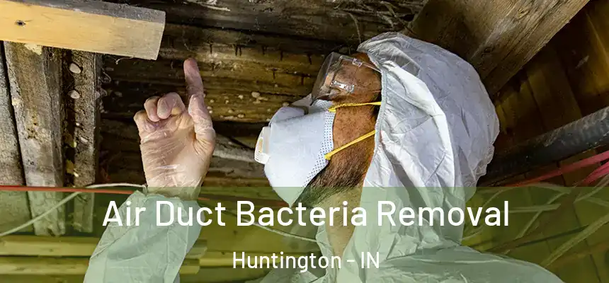  Air Duct Bacteria Removal Huntington - IN