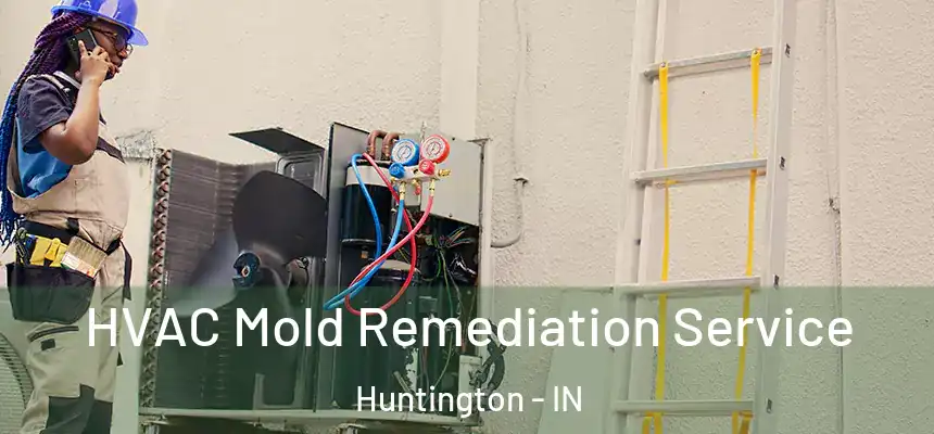  HVAC Mold Remediation Service Huntington - IN