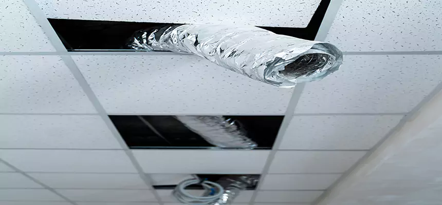 Our Air Duct Pet Hair Removal Services in Huntington, IN