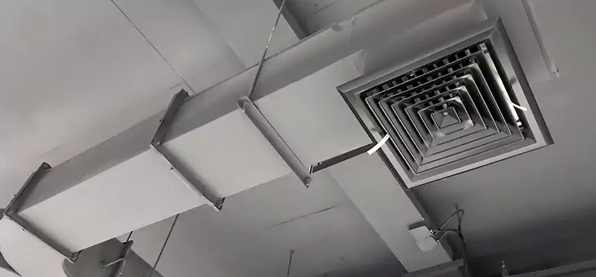 Restorative Allergy Relief Vent Cleaning – Coil, Blower & Housing Detail in Huntington