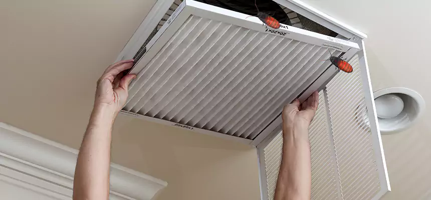 Our Insect Removal from Air Ducts Services in Huntington, IN
