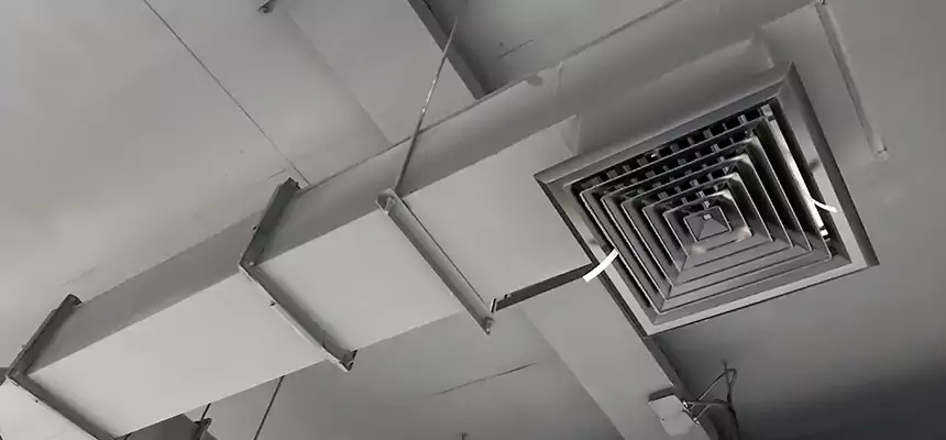 Our Rodent Droppings In Vents Services in Huntington, IN