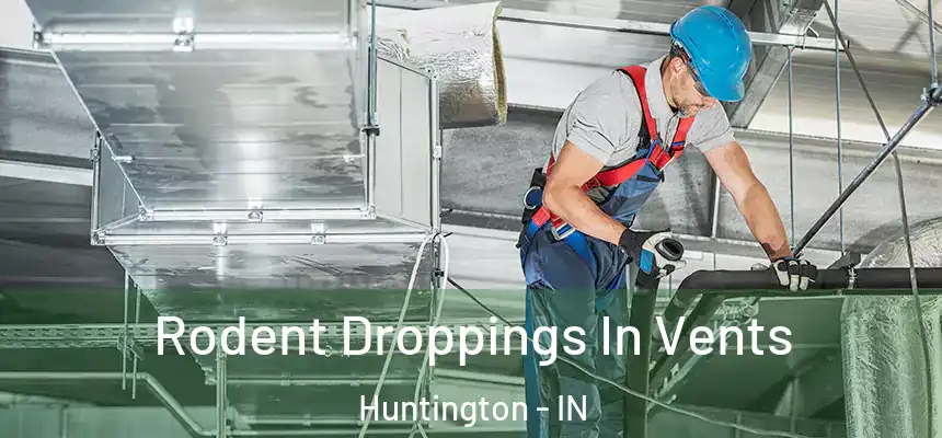  Rodent Droppings In Vents Huntington - IN