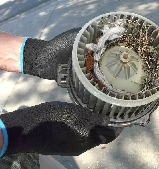 About Air Duct Mice Removal in Huntington, IN