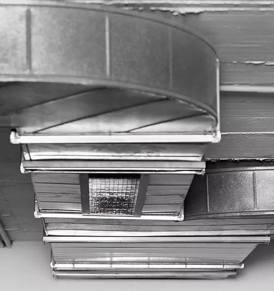 Professional Air Duct Pest Removal in Huntington, IN