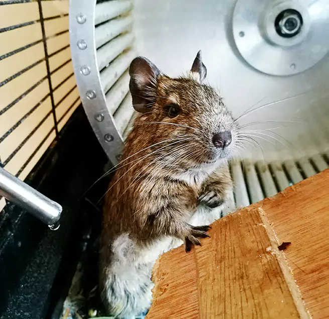 Why Homeowners & Businesses Trust Us Huntington, IN